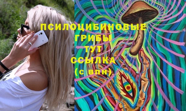 прущие крисы Белоозёрский