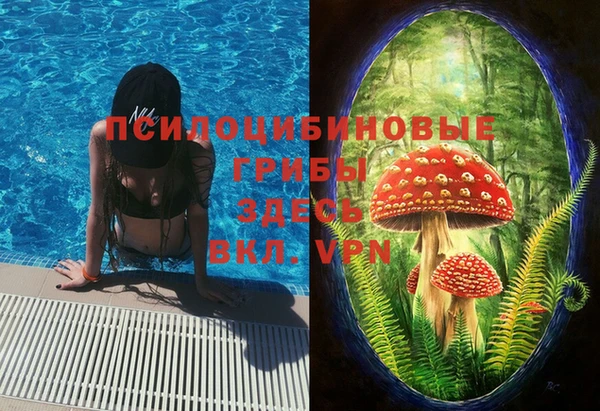 прущие крисы Белоозёрский