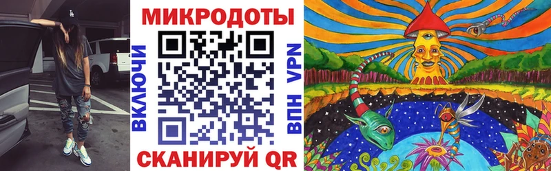 купить наркоту  Салаир  mega tor  Псилоцибиновые грибы Magic Shrooms 